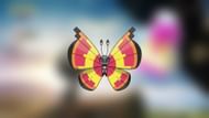 Sun Vivillon is a perfect mix of visually appealing, while still being difficult to obtain for non-native users to the area (Image via Niantic)